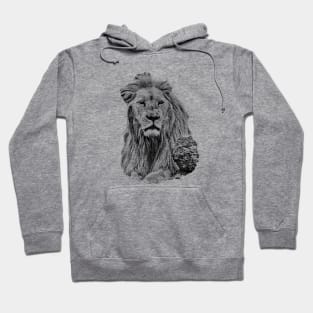 Lion portrait Hoodie